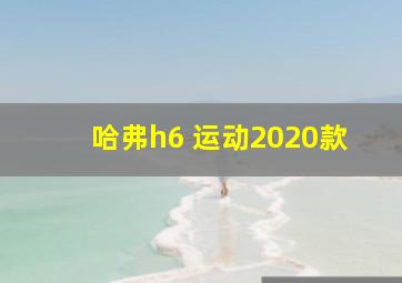 哈弗h6 运动2020款